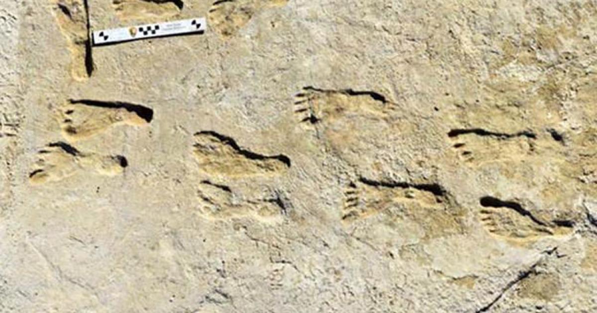 The ancient New Mexico footprints found at White Sands National Park, which could be dated because the footprints were embedded with native plant seeds. 		Source: Bennett et al. / Science