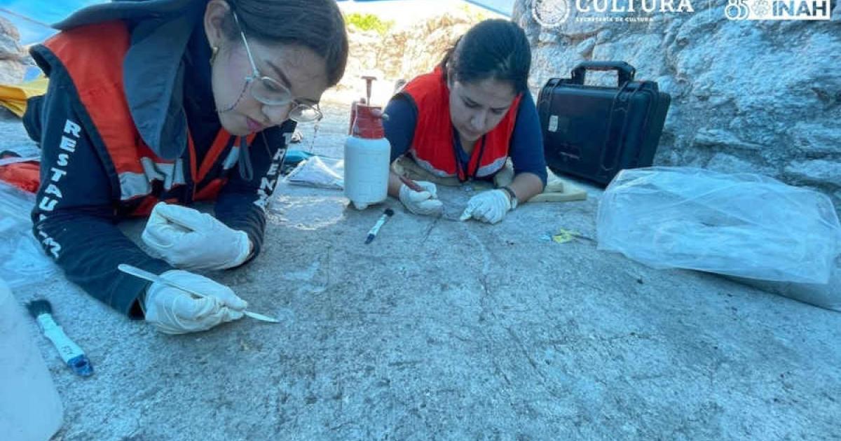 Nine Ancient Patolli Games Found During Maya Train Construction