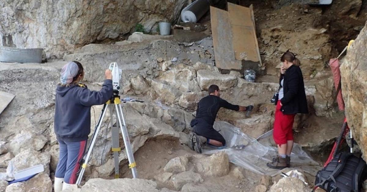 Excavation of archaeological deposits in Chagyrskaya Cave indicate long distance  nomadic Neanderthals traveled from Europe.