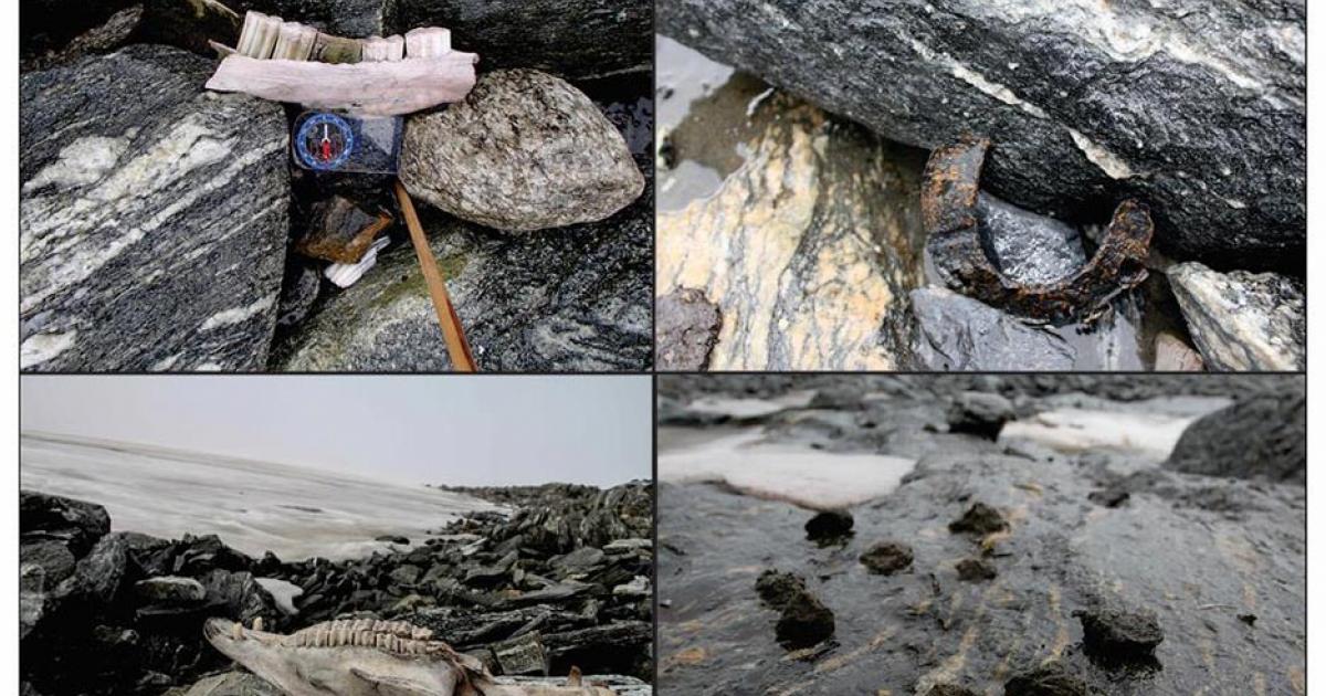 These horse-related finds from Lendbreen indicate the route of a Nordic mountain trail: top left) mandible; top right) horseshoe; bottom left) horse skull; bottom right) horse dung. Source: J.H. Barrett & Glacier Archaeology