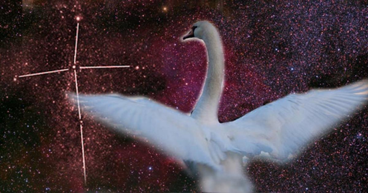 Image of the North America Nebula, an emission nebula in the constellation Cygnus, close to Deneb