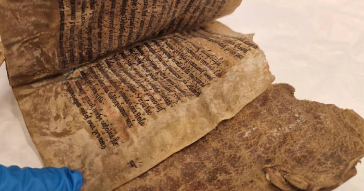 Pages of the Hagenes manuscript.