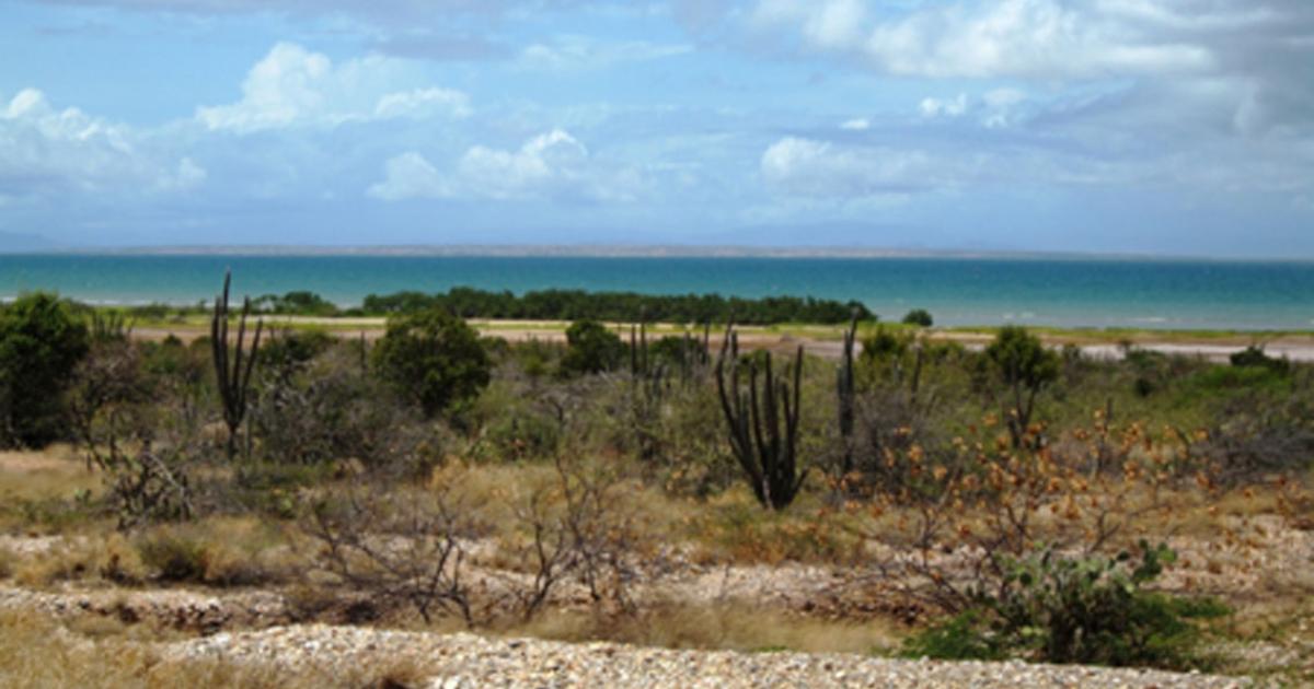 The Island of Cubagua, Venezuela      