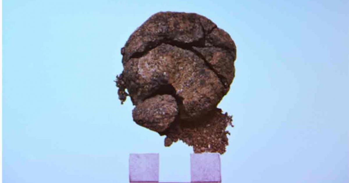 The fragment of bread retrieved from an oven in Çatalhöyük. Source: Erbakan