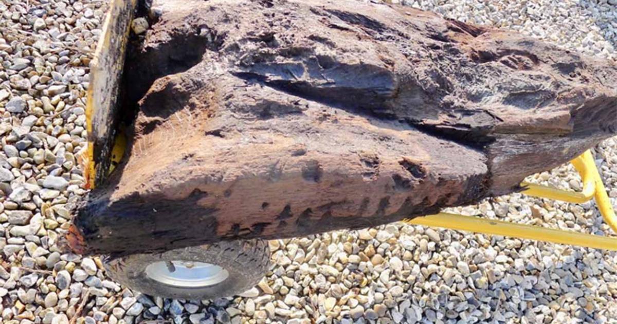 The Boxford Timber discovered in Berkshire. At more than 6,000 years old, it is Britain's oldest carved wood.    Source: © Derek Fawcett/Historic England