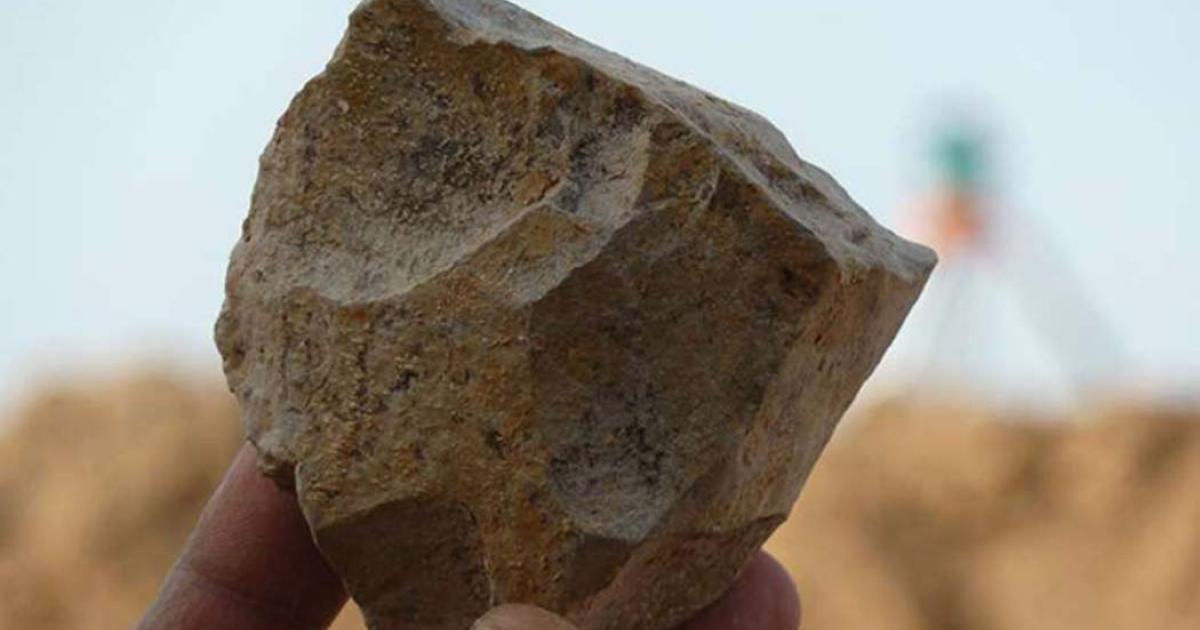 An Oldowan stone tool core freshly excavated at Ain Boucherit, Algeria.