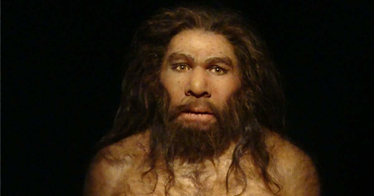 A Neanderthal.