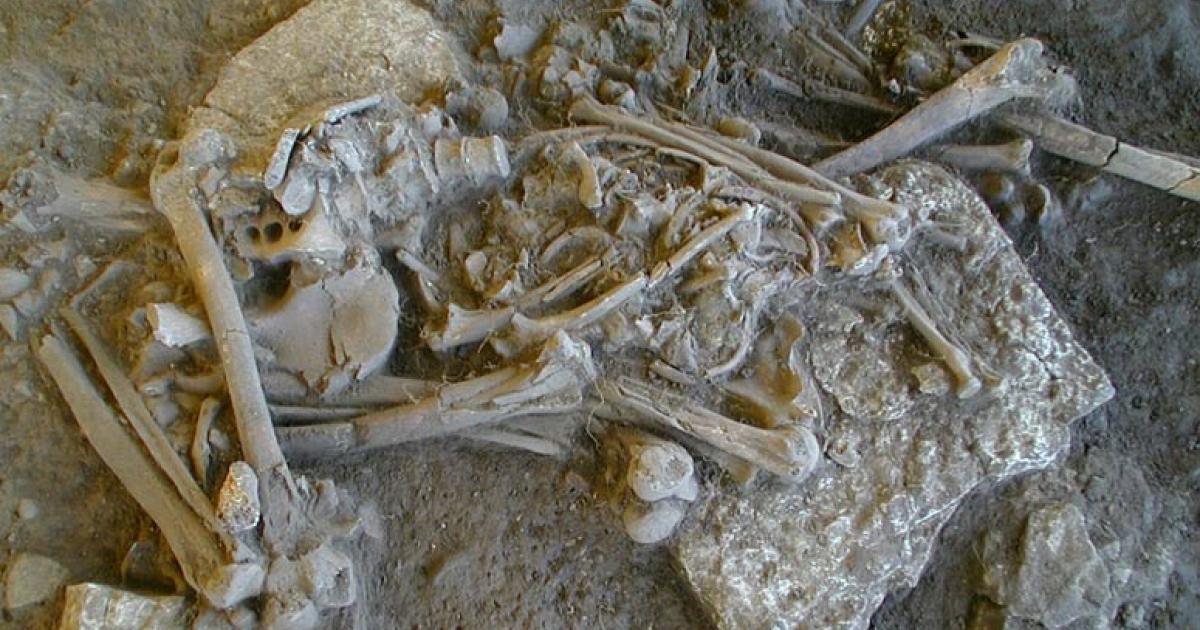 One of the complete skeletons found in the Frälsegården passage grave.	Source: Karl-Göran Sjögren/Nature