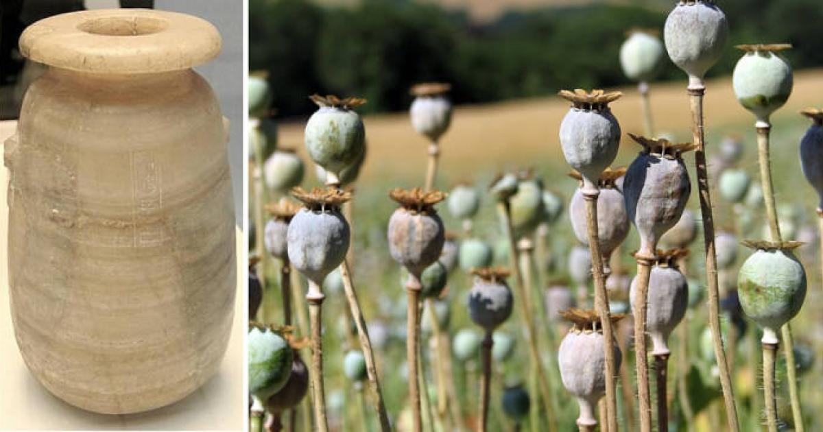 Left, Jar of Xerxes I from the Mausoleum at Halicarnassus, Right; Opium poppies.