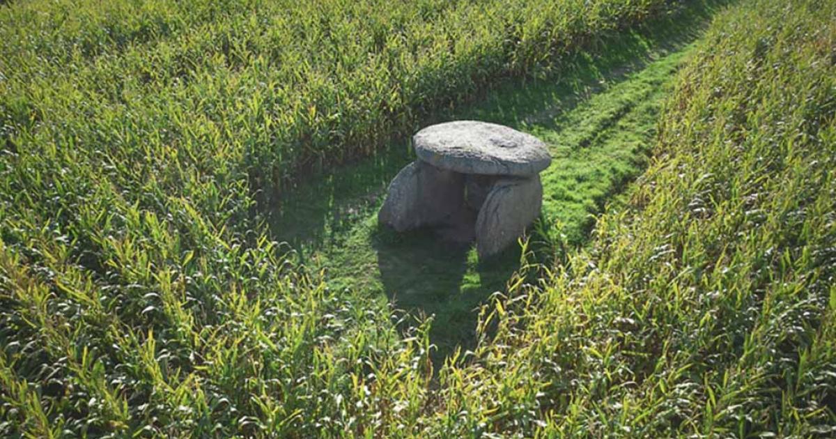 Dolmen of Poloutin in a cornfield, representing the origins of farming.	Source: aluxum/Adobe Stock
