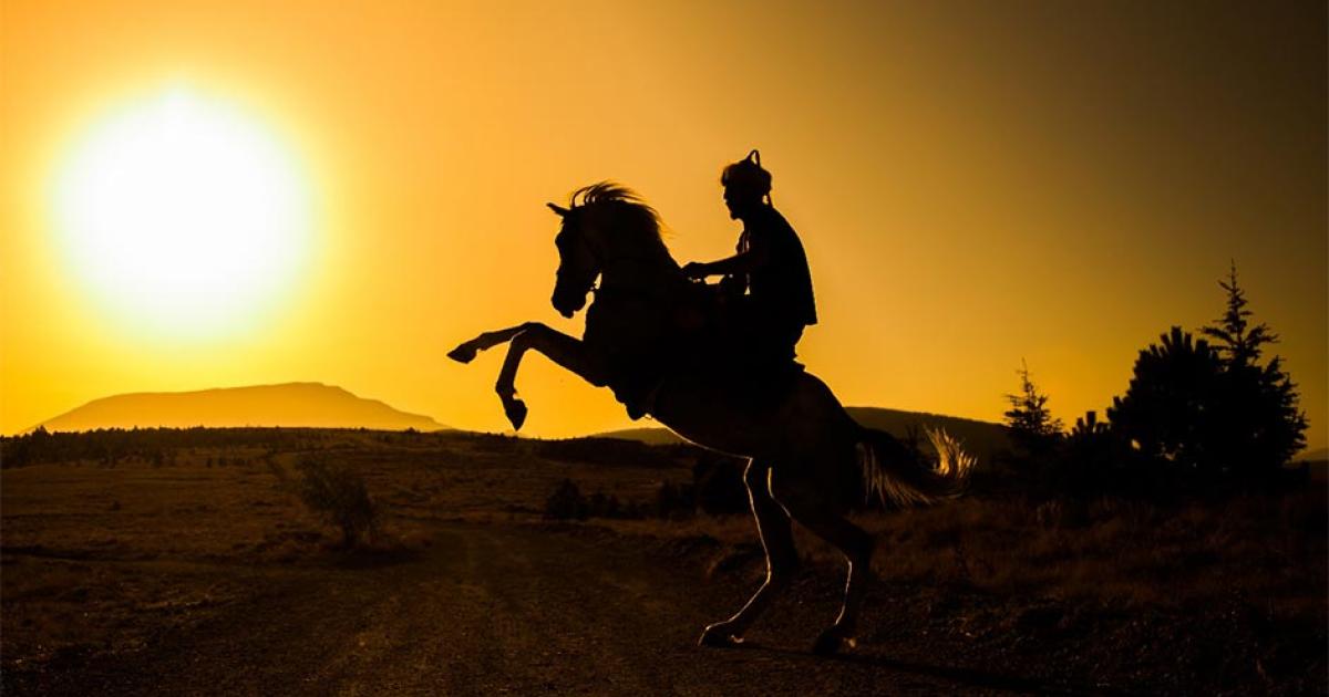 Ottoman Warrior. Credit: ahmetnkececi / Adobe Stock