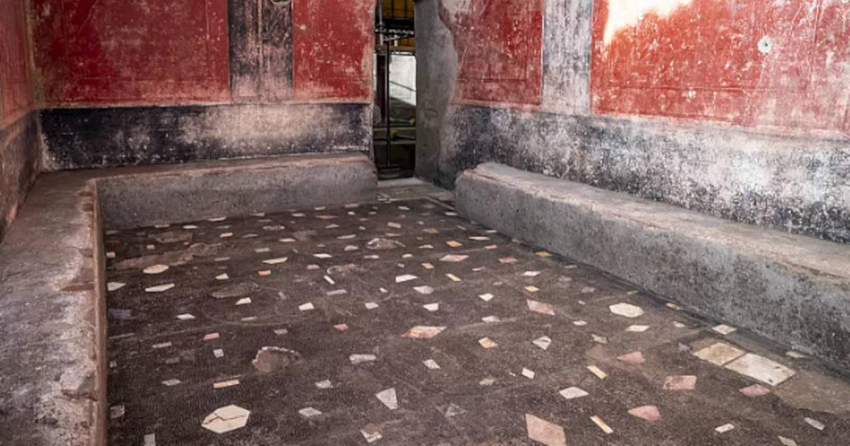 The apodyterium (changing room) discovered in the Roman bathhouse.