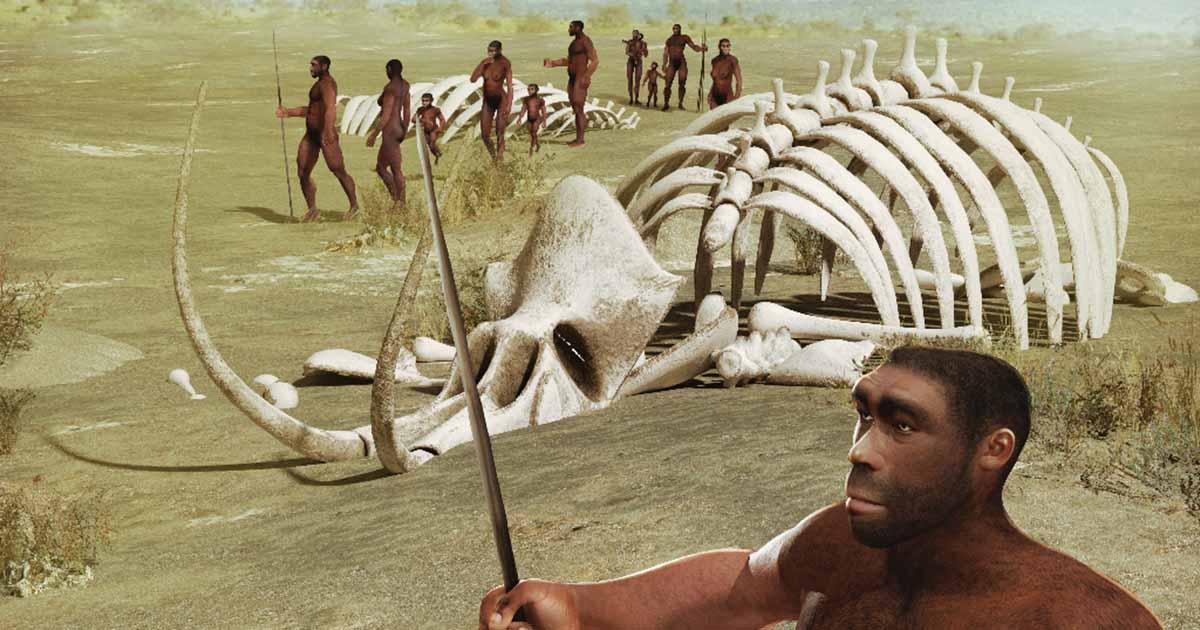 A tribe of human ancestors, Homo erectus, wanders through the savannah past mammoth skeletons. Source: ratpack223/Adobe Stock)
