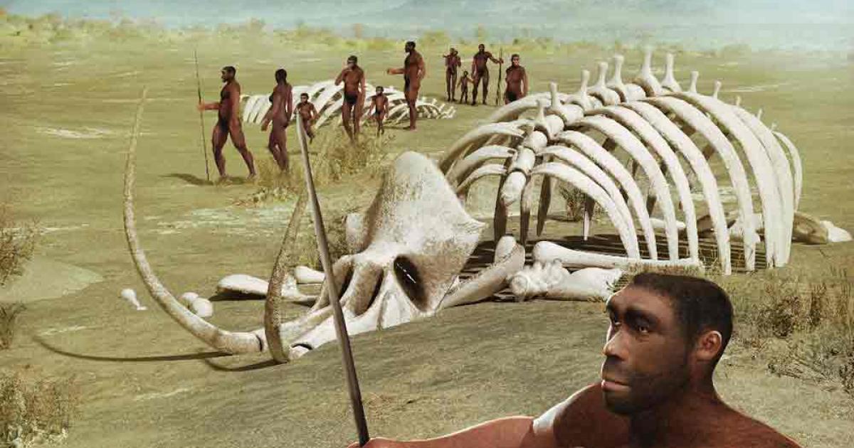 A tribe of human ancestors, Homo erectus, wanders through the savannah past mammoth skeletons. Source: ratpack223/Adobe Stock)