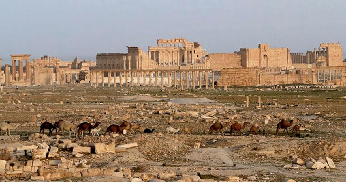 View of Palmyra in 2010 showing the Temple of Bel. 