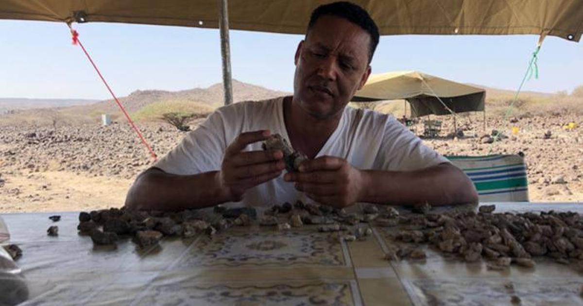 Professor Zeresenay Alemseged sifts through unidentified fossil fragments in the field