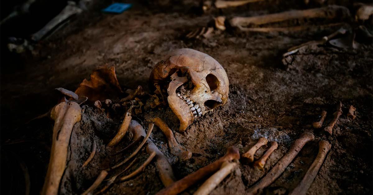 Skeleton in ancient grave at archaeological excavation (representational). Source: Mulderphoto / Adobe Stock.