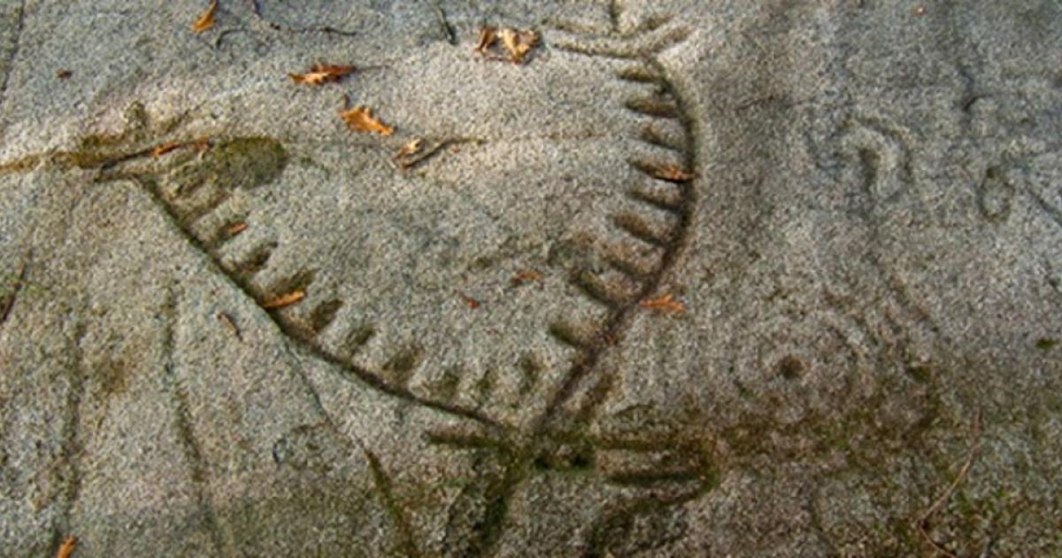 Detail of the Laxe dos Carballos  at Campo Lameiro, Galicia, Spain 
