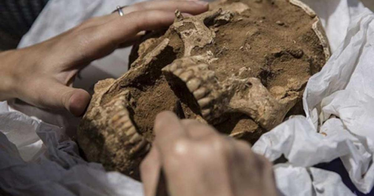 A skull from a 10th-9th century BC burial in the excavation of the Philistine cemetery in Ashkelon. New research on Philistine DNA reveals their southern European origins. Source: Tsafrir Abayov/Leon Levy Expedition