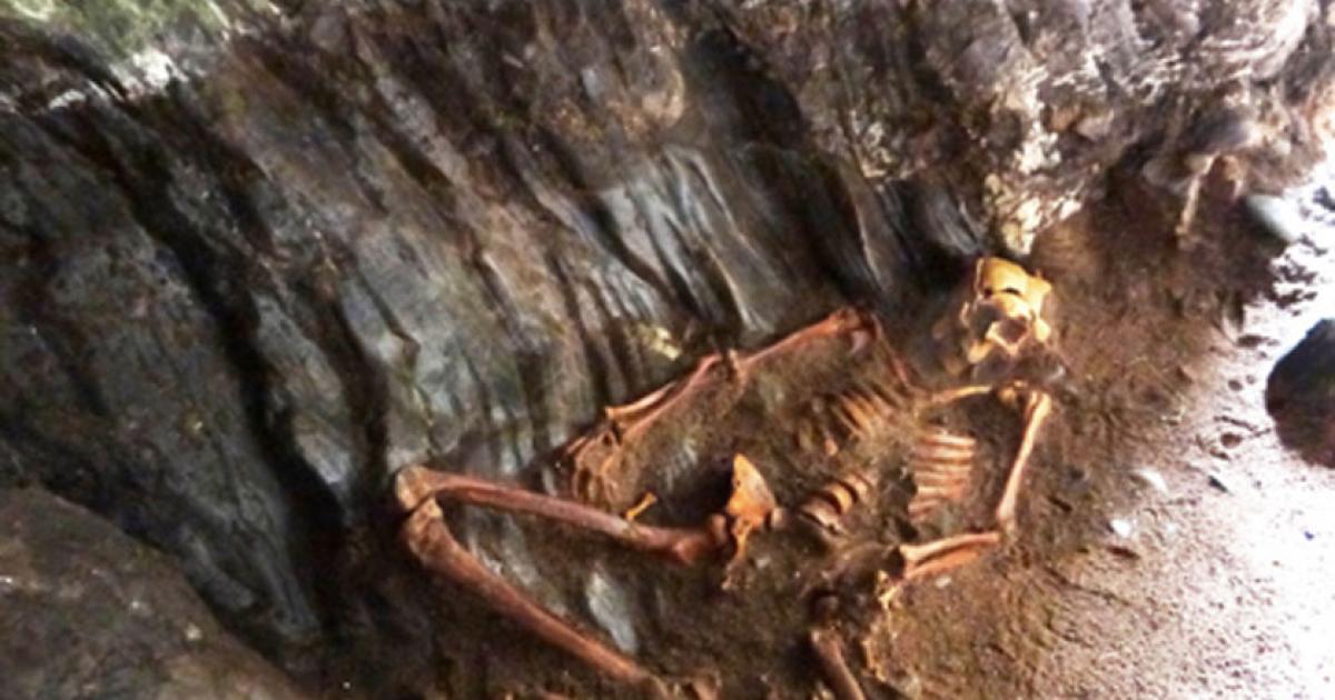 The Pictish man’s skeleton. (NOSAS)