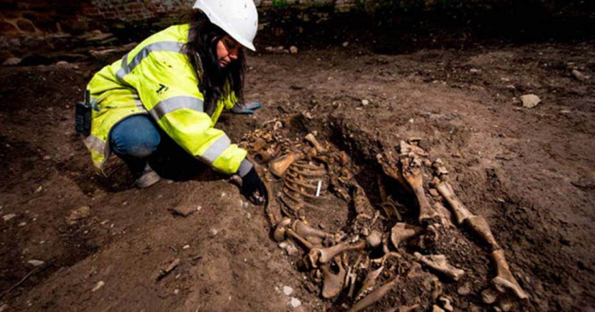 A Pig in a Coffin, A Pregnant Goat, and a Dog That Died in Childbirth: What Were Bizarre Animal Remains Doing in an Anglo-Saxon Church?