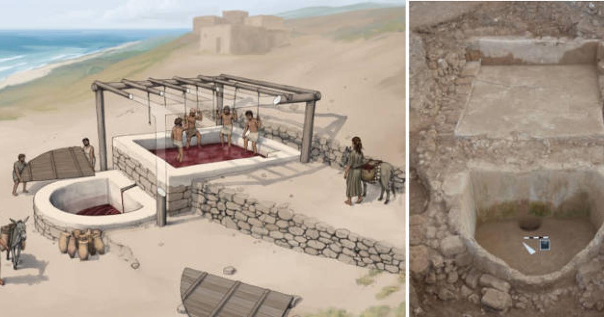 Left; artists impression of the wine press set up. Right; The large Iron Age wine press at Tell el-Burak 