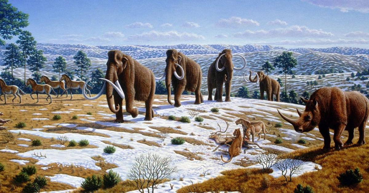 Pleistocene of Northern Spain showing woolly mammoth, cave lions eating a reindeer, tarpans, and woolly rhinoceros.