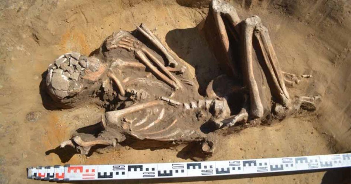 Lying in a foetal position, the remains were found during a dig near Kraków. Credit: Paweł Micyk