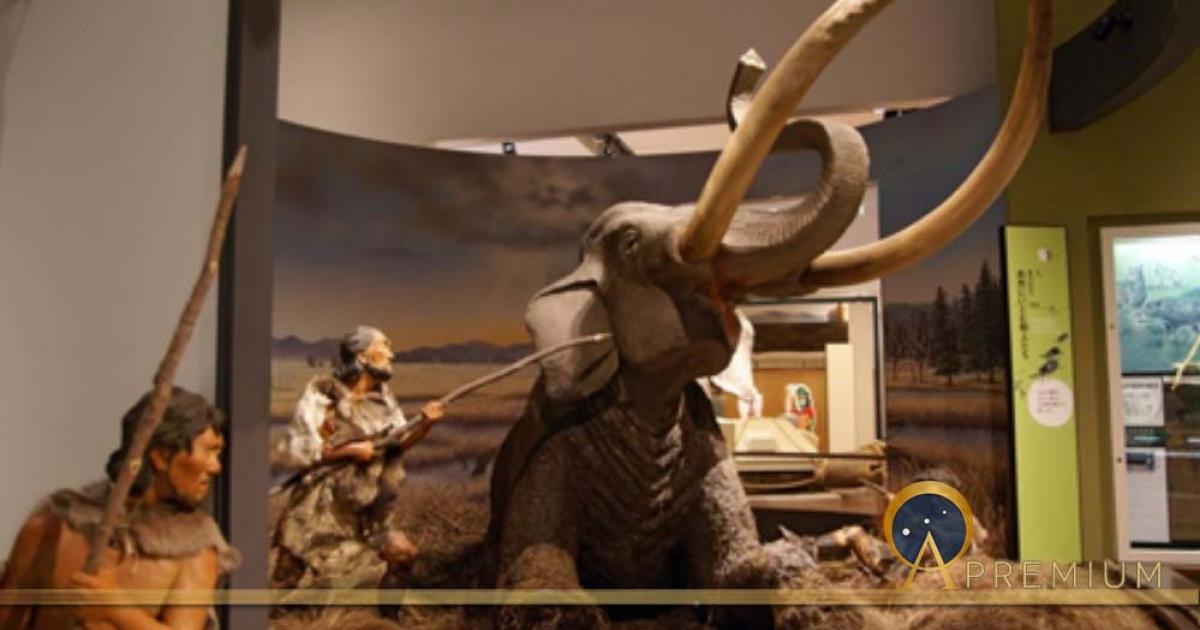 Mammoth hunt, Hyogo Prefectural Museum of Archaeology, Japan (CC BY-SA 2.5)