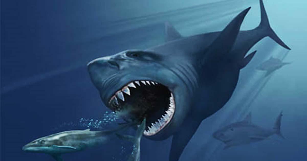 Stay Out of the Water: Does a Prehistoric Shark Still Live in the Ocean?
