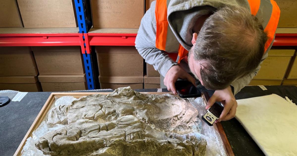 Researcher examining the Roman gypsum burial at the Yorkshire Museum