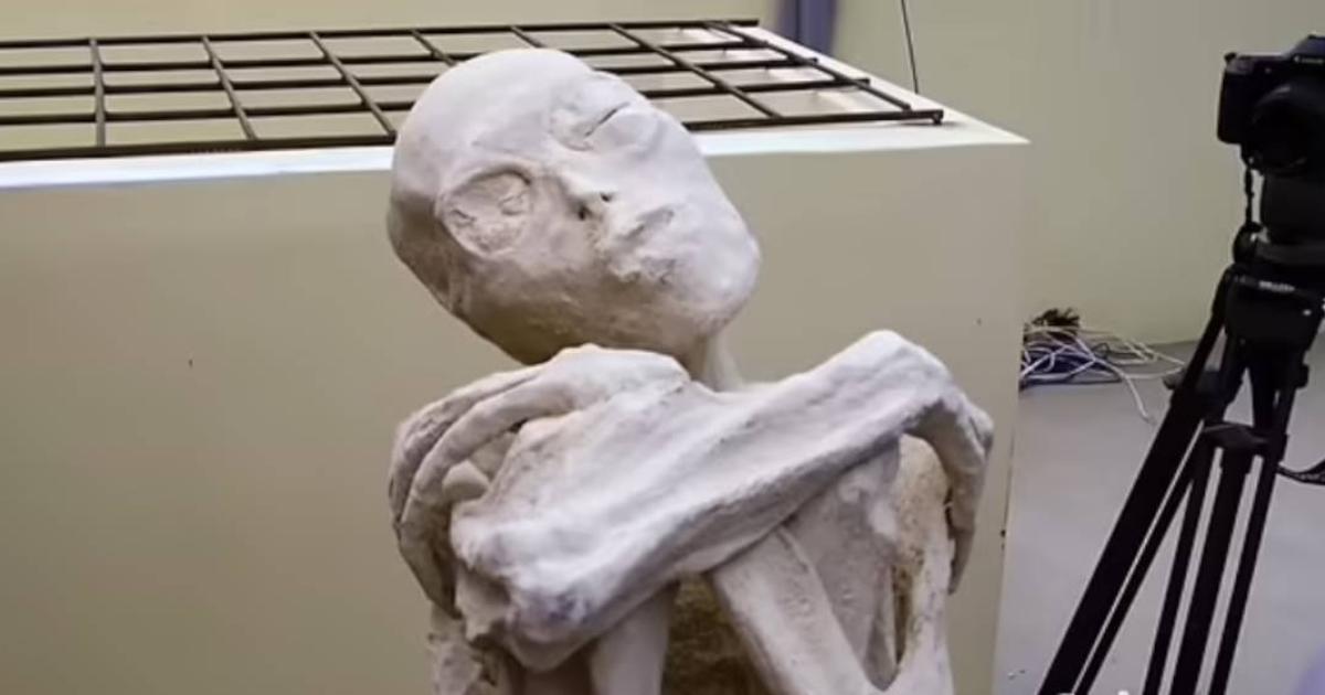 Mysterious Peruvian mummy with unusual physical features, leaving some to suspect they are not human.