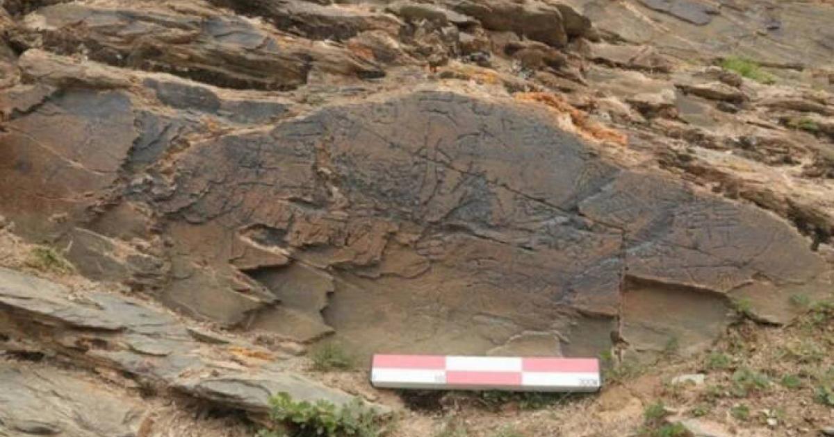 Rock inscription found on the Tibetan plateau found to describe a mission for the quest for immortality