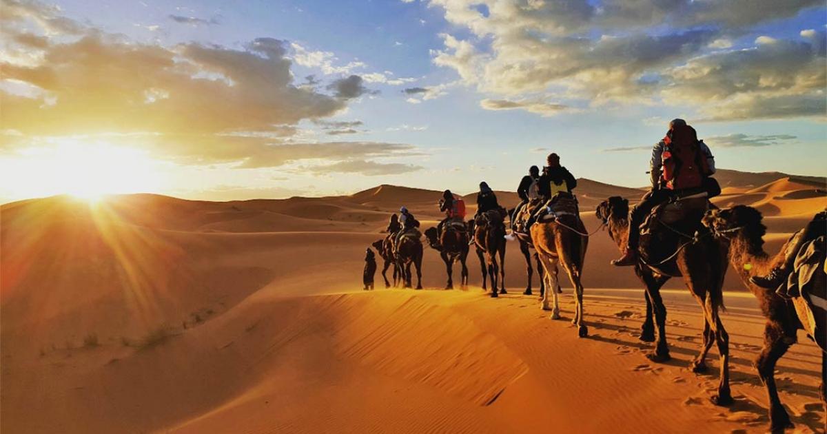 Much of the Radhanites' overland trade between Tangier and Mesopotamia was by camel. Source: Gaper / Adobe Stock
