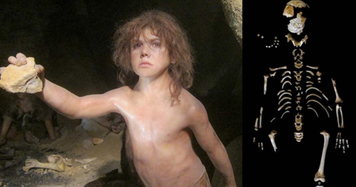 Representation of a Neanserthal boy at the Neanderthal Museum, Krapina, Croatia. (Michael (a.k.a. moik) McCullough/CC BY NC ND 2.0) Skeleton of the Neanderthal boy recovered from the El Sidrón cave (Asturias, Spain). (Paleoanthropology Group MNCN-CSIC)