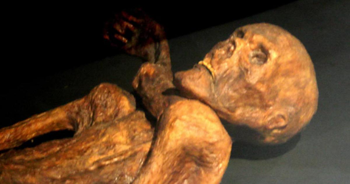 Reconstruction of the Iceman. Prehistory Museum of Quinson, Alpes-de-Haute-Provence, France. 