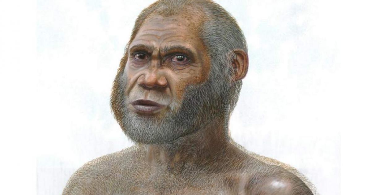 Artist’s reconstruction of a Red Deer Cave man. 