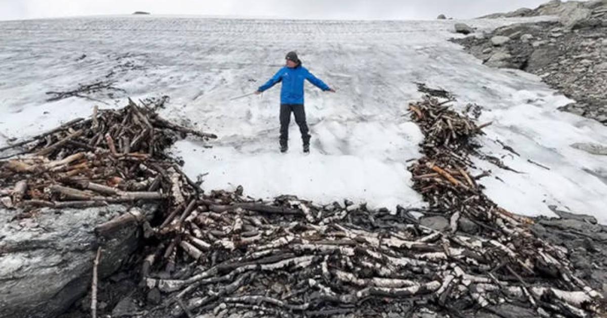 Researcher at the site of a pile of logs at the edge of the iceflow, which were used to construct the reindeer trap.