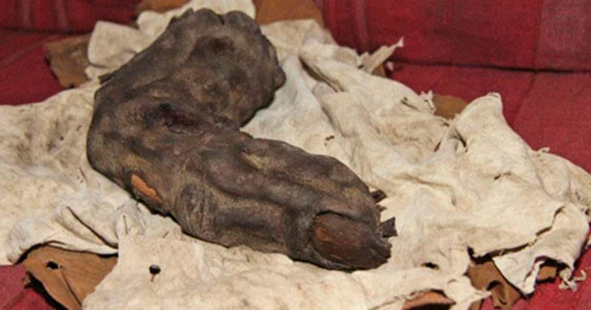 While on an excursion in Egypt, Gregor Spörri met Nagib, heir to a mummified finger.  This Relic of Bir Hooker measured 35cm and was authenticated with 1960s x-rays. Source: Courtesy of ©Gregor Sporri.