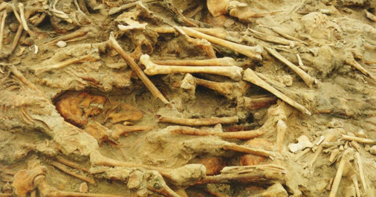 Remains of European soldiers of Napoleon's Grand Army, who died of starvation, disease and the elements, in a mass grave in Vilnius, Lithuania 