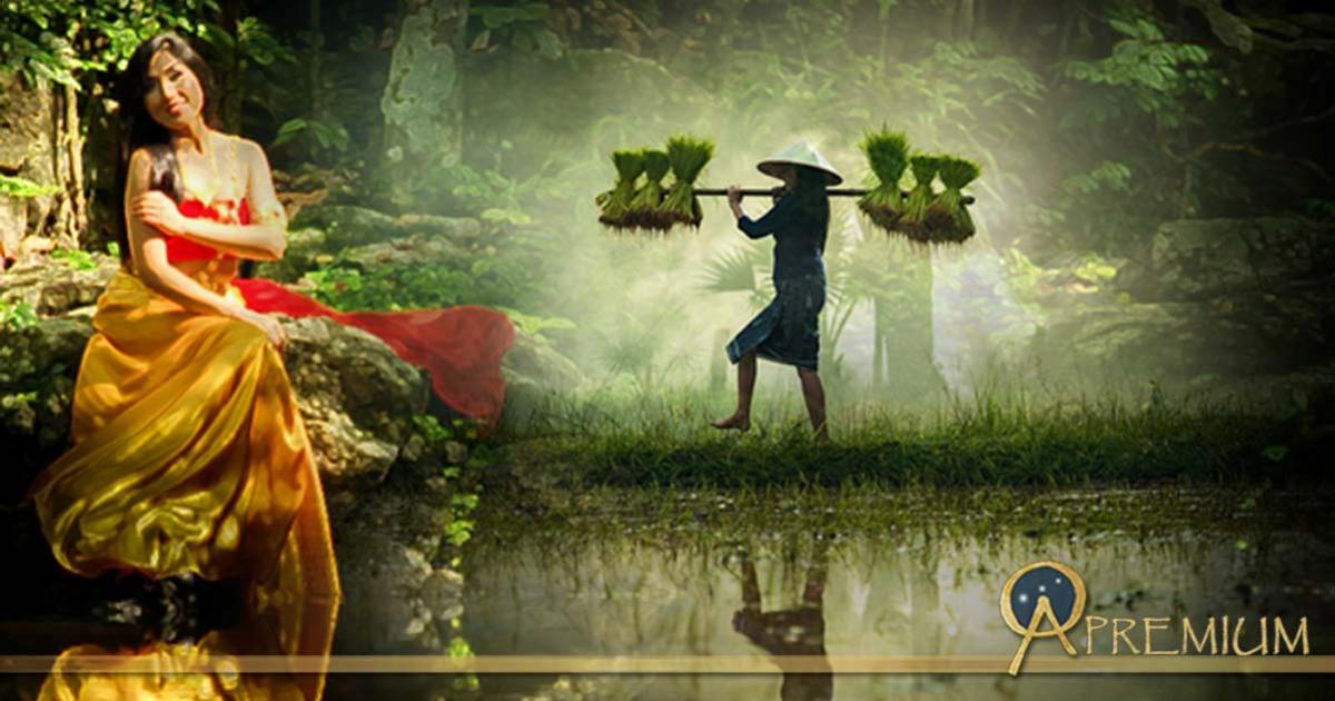 Rice goddesses are found across cultures 