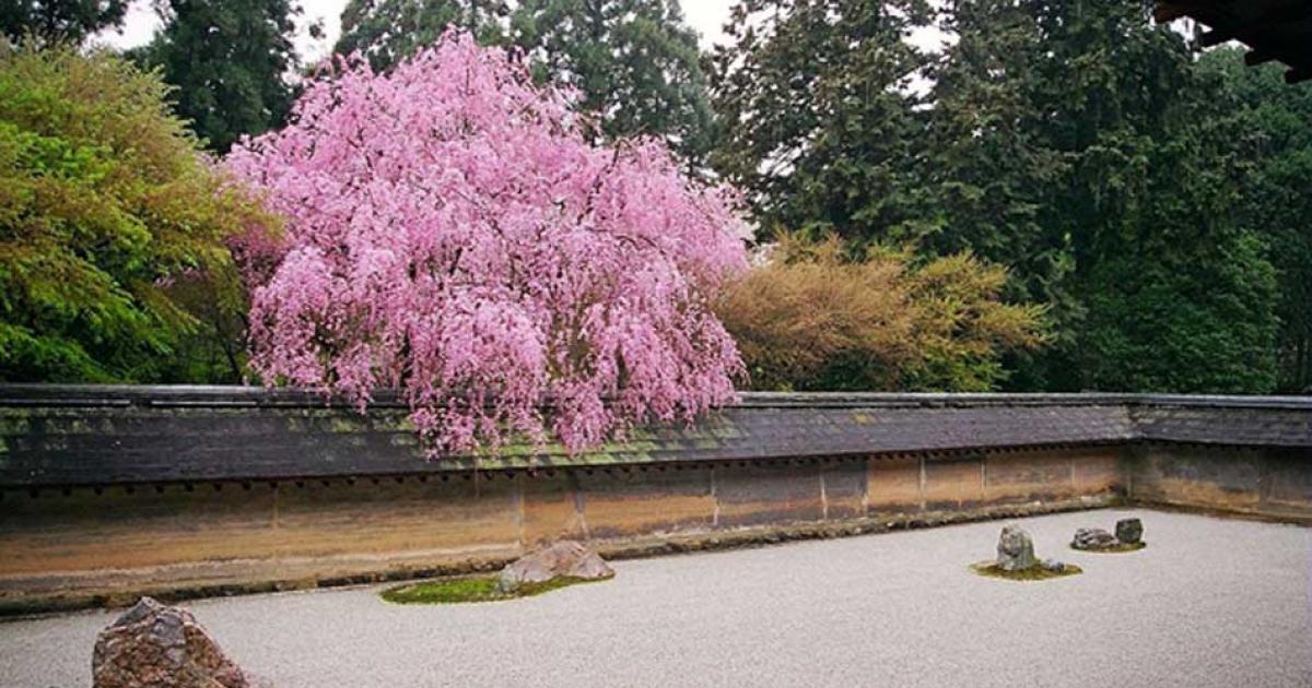 Finding Zen in the World’s Most Famous Rock Garden