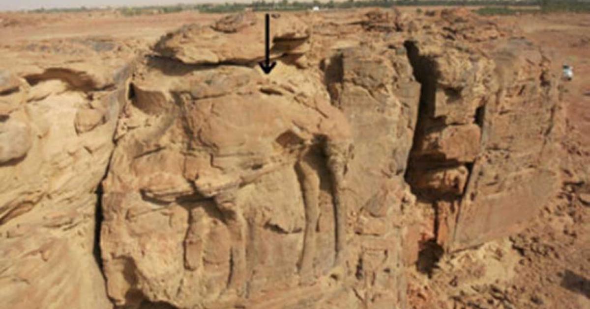 High relief of standing dromedary on sandstone spur at center of image.