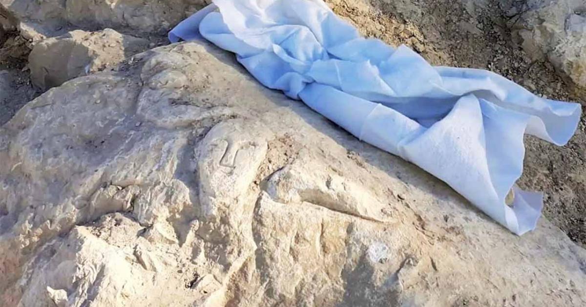 Roman Carvings of a Smiley Face and a Phallus Found in Spain 