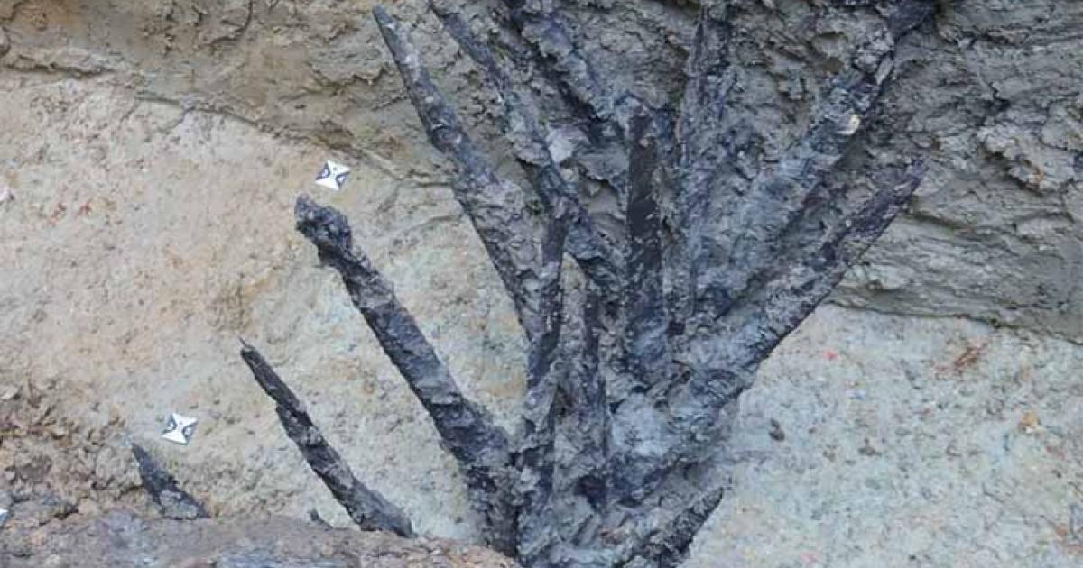 Roman defensive spikes found at Bad Ems.	Source: Frederic Auth/Aktuelles Uni