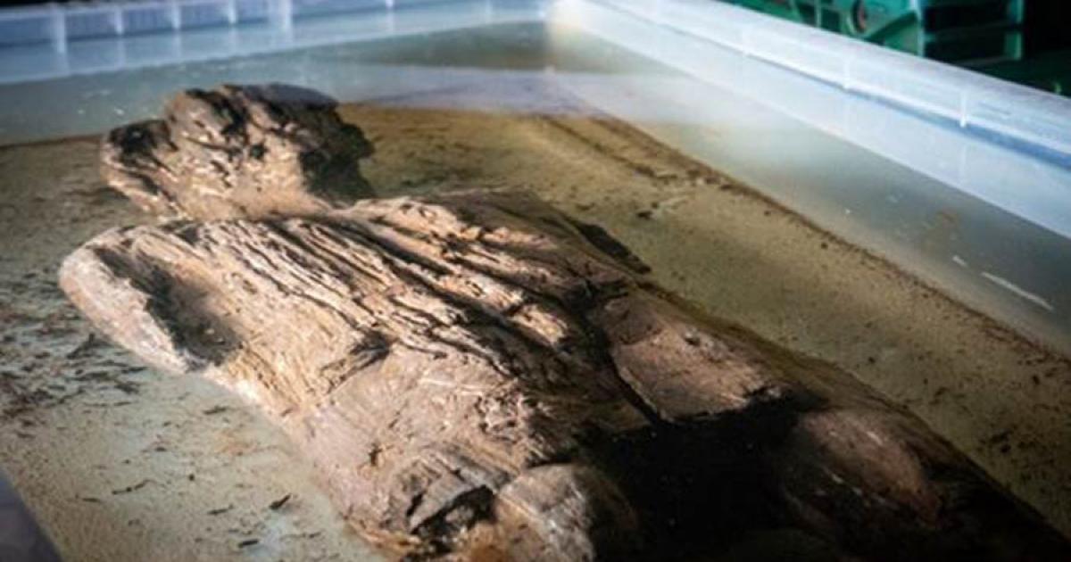 The Roman era wooden statue found at the Twyford Buckinghamshire HS2 rail project dig site in England submerged for cleaning. 	Source: HS2