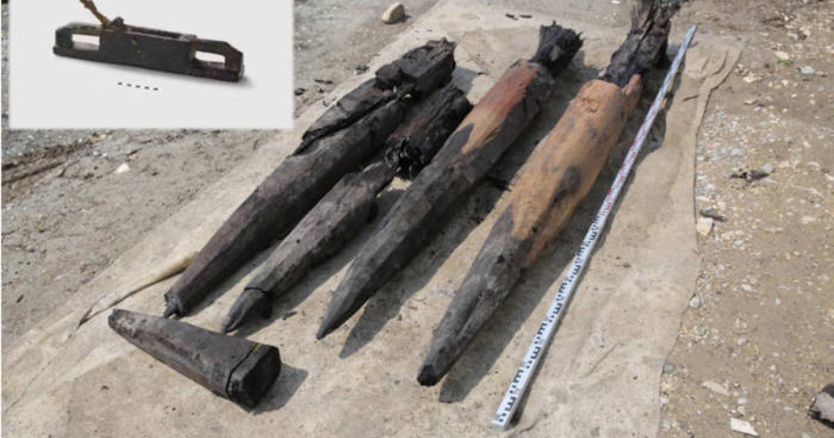 Dense oak piles from Roman bridge construction at Aegerten, Switzerland, with inset, Roman plane also found.