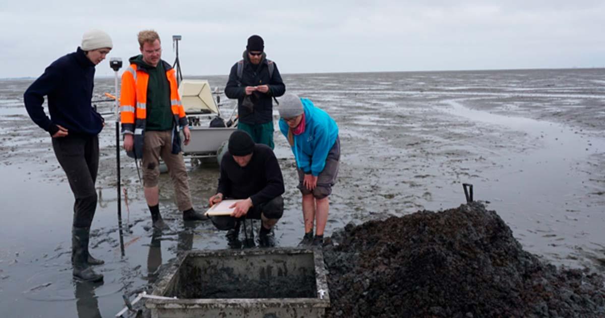 A special metal frame allows archaeological digs of one square meter in the area the Rungholt church has been detected on the tidal flats. Source: Universitaet Mainz