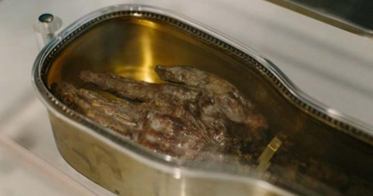 The Holy relic, St. Francis Xavier’s arm. 