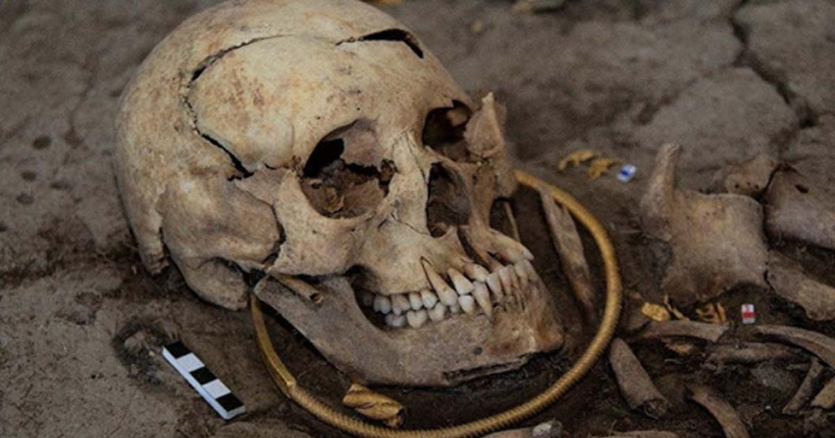 The skull of the  ‘golden man’ found in the Saka burial mound.
